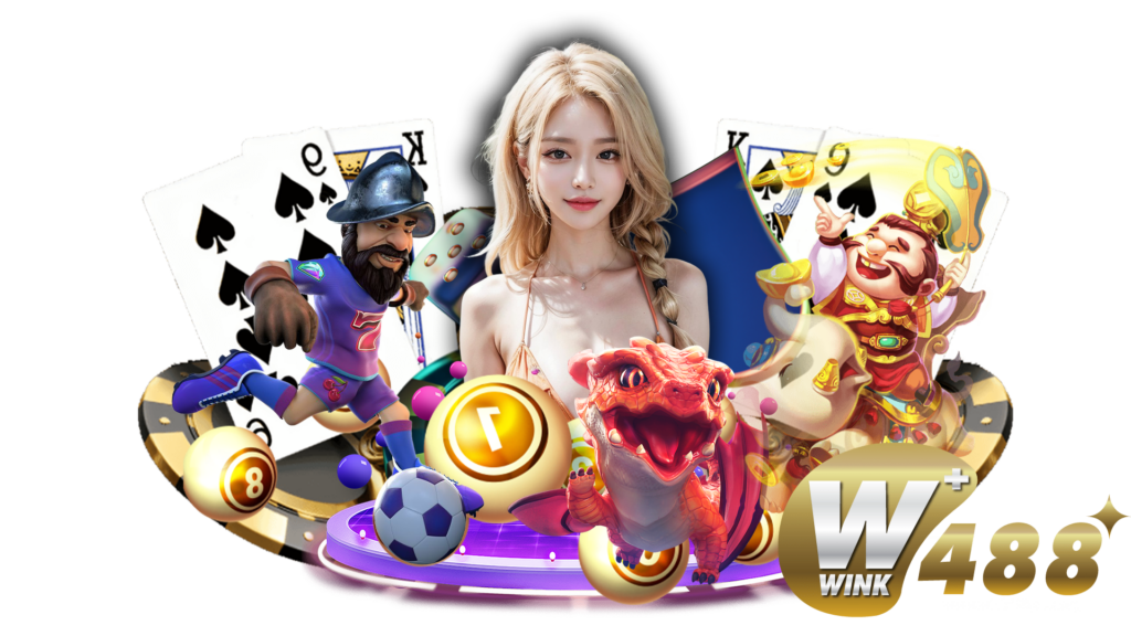 wink488plus